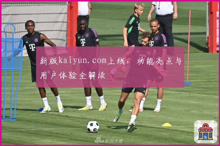 新版kaiyun.com上线，功能亮点与用户体验全解读