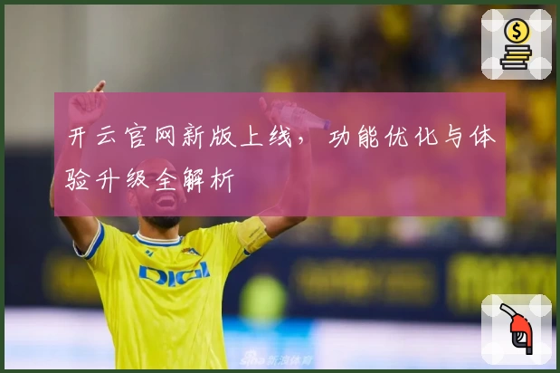 开云官网新版上线，功能优化与体验升级全解析