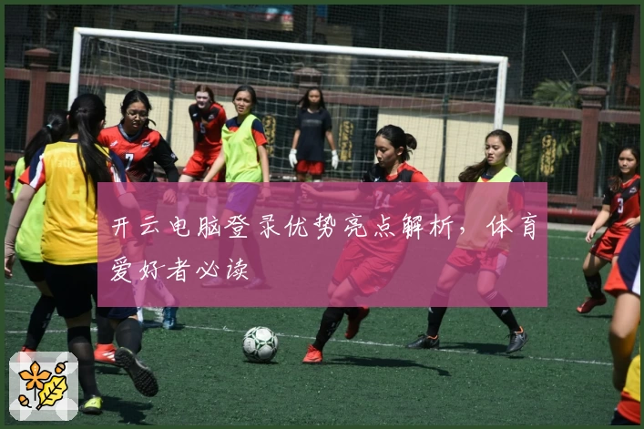 开云电脑登录优势亮点解析，体育爱好者必读